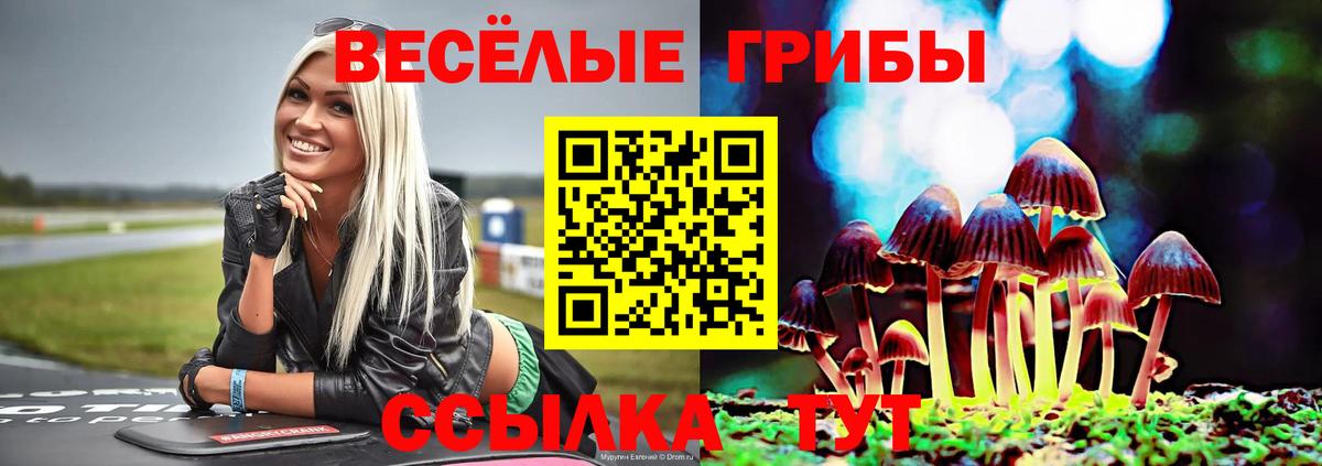 Псилоцибиновые грибы Psilocybe Пугачёв